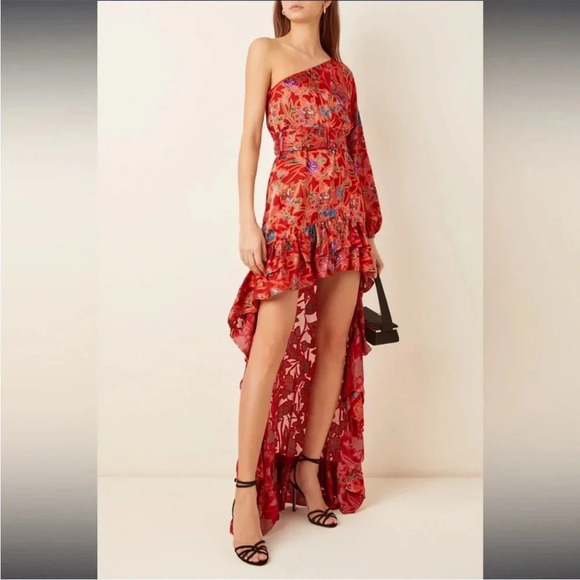 Alexis Marseille Floral Red Gown Maxi Dress One Shoulder High-Low Ruffle size M - Picture 3 of 11